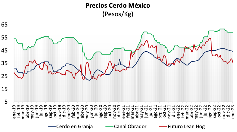 Precio del cerdo sector porcino