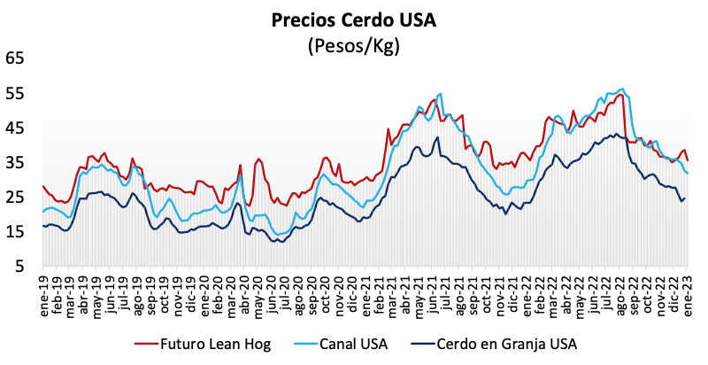 Precio del cerdo sector porcino
