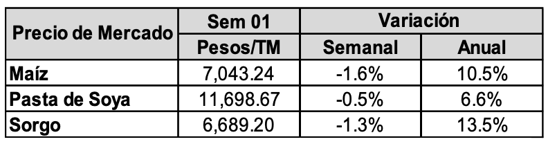 Materia prima sector porcino